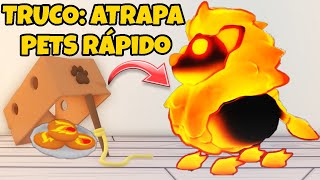 COMO CONSEGUIR MASCOTAS de FUEGO FACIL y RAPIDO🔥 Adopt Me Roblox [upl. by Juieta]