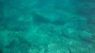 Snorkeling at the Riu Cancun [upl. by Ayaros]