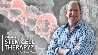 Regenerative Stem Cell Therapy Explained  Dr Steve Meyers [upl. by Mcnully761]