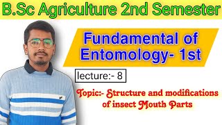 Mouthparts modifications  Insect mouth  BSC Agriculture 2nd semester Fundamental of Entomology 1 [upl. by Enedan]