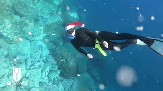 Christmas freediving [upl. by Mannuela]