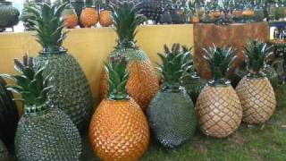 Feria Maestros del Arte Chapala Jalisco Mexico  Famous pineapple pottery of Hilario Alejos [upl. by Mannuela]