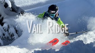 Vail Ridge Alta UT [upl. by Enileuqaj]