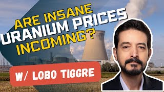 Uraniums Supply has Gotten Much Worse  Gold amp Silver Outlook  Recession  Lobo Tiggre [upl. by Sherrod]