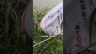 Un sac mystérieux dans la rivière cache une surprise INCROYABLE [upl. by Nhguavoj520]