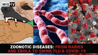 Zoonotic diseases From Rabies and Ebola to Swine Flu amp Covid19 [upl. by Ahsemo]