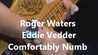 Comfortably Numb Roger Waters  Eddie Vedder [upl. by Enimzaj]