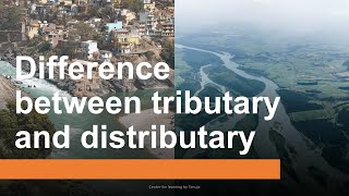 Difference between Tributary and Distributary Learn about tributaries amp distributaries in 2 minutes [upl. by Flora]