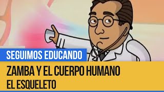 La asombrosa excursión de Zamba al cuerpo humano El esqueleto  Seguimos Educando [upl. by Eniahs197]