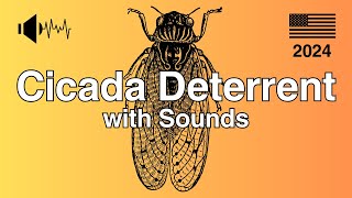 Cicada Deterrent Sound  Essential for America in 2024 Not compatible with iPhone [upl. by Lindsay]