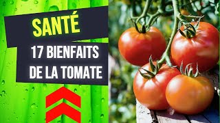 17 Bienfaits de la Tomate 🍅  tomate grappe [upl. by Hisbe479]