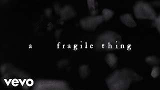 The Cure  A Fragile Thing Official Lyric Video [upl. by Idnem]