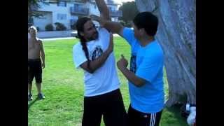 Fighting Arts  Yin Style Bagua Lifting attacks [upl. by Fries]