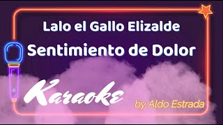 Lalo el Gallo Elizalde  Sentimiento de Dolor Karaoke [upl. by Anileuqcaj]