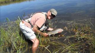 Fly Fishing Goodrich Creek at Lake Almanor Basin [upl. by Jaynell]