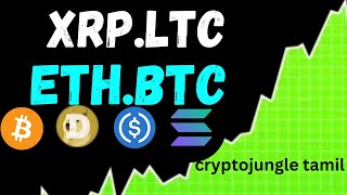 XRPLTCETHBTC ANALYSIS TAMIL  BITCOIN LATEST NEWS TAMIL  CRYPTO BITCOIN TAMIL  cryptojungle [upl. by Tiffi]