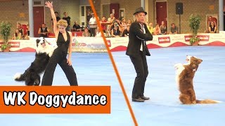 WK DOGGYDANCE 2018  DierenpraatTV [upl. by Chladek]