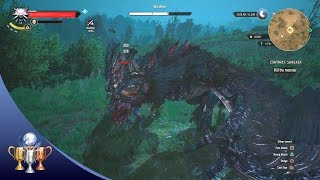 The Witcher 3 Wild Hunt  Shrieker Contract Quest Walkthrough and Trophy Guide [upl. by Daniel]