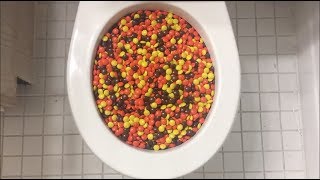 Will it Flush  Reeses Pieces [upl. by Greene]