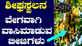 ಶೀಘ್ರಸ್ಖಲನ ವಾಸಿಮಾಡುವ ಶಕ್ತಿ ಈ ಬೀಜಗಳಲ್ಲಿದೆ  Ayurveda Tips in Kannada [upl. by Xuaeb103]