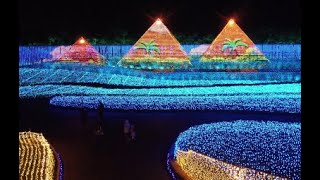 Nabana No Sato なばなの里 Illumination 2024 May [upl. by Faletti]