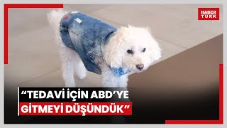 Çocuğu gibi gördüğü köpeğine kanser teşhisi konmuştu “Tedavi için ABD’ye gitmeyi düşündük” [upl. by Rhonda]