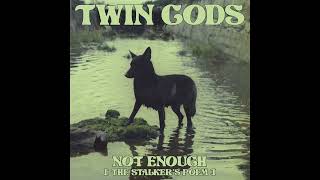 Twin Gods  Not Enough The Stalkers Poem 2024 New Single [upl. by Acsehcnarf]