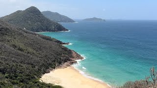 Bushwalk up Quarry quotGrass Skirtquot Hill Shoal Bay portstephens bushwalk hiking xanthorrhoea [upl. by Hyps309]