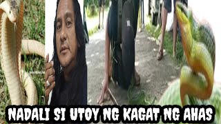 NAKAGAT SI COBRA PRINCE SA BIBIG COBRA KING NAIPIT SA DALAWANG PADER cobraprince [upl. by Daniala]