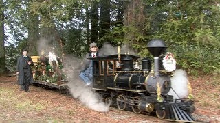 Tilden Little Train Winterfest 2018 [upl. by Aihsotal891]