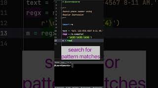 Python Pattern Search Using RegEx pythontutorial [upl. by Karlotta]