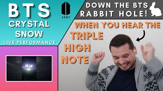 Jazz Musician Reacts BTS  Crystal Snow LIVE  Down the BTS Rabbit Hole [upl. by Akemrej72]