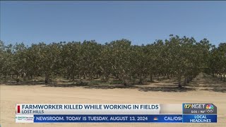 CalOSHA investigating death of farmworker who was crushed to death in Lost Hills [upl. by Drofub]