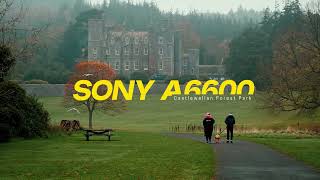 Sony a6600 Castlewellan Forest Park  Cinematic [upl. by Hardan519]