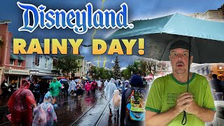 Rainy Days are BACK at Disneyland but crowds DONT CARE [upl. by Oiramel]