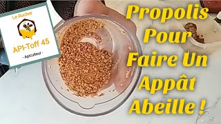 Apiculture  Utiliser La PROPOLIS Pour Faire Un Appât Abeille Maison [upl. by Rehpotsyrhc]