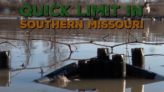 Quick Duck Limit in Southern Missouri [upl. by Attenauqa249]