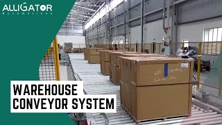 Warehouse Conveyor System  Automated Material Handling [upl. by Nonnahs]