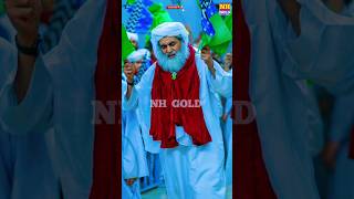 New Rabi Ul Awwal Naat 2024  Aa Gayi Mustafa ﷺ Ki Sawari  Official Video  Owais Raza Qadrishorts [upl. by Harding]