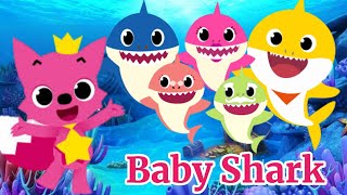 Baby Shark  baby Shark Song  baby Shark doo doo doo doo [upl. by Atnoed976]