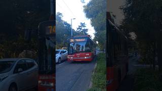 Solaris Trolino érkezik a Ciklámen utcához 🚎 spotting troli bkk [upl. by Sebbie872]