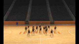 University of Tennessee Dance Team Entry Tape 2010 [upl. by Anaidiriv]