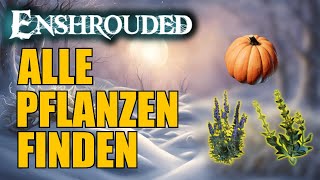 Die Pflanzen aus PATCH 4 finden Enshrouded  Enzian Eisenhut Kürbis [upl. by Previdi4]