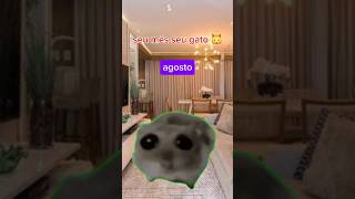 POVseu mês seu gato pov de gatinho gatosengraçados pov [upl. by Nogam199]