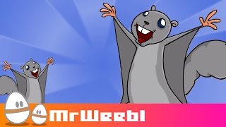 Flying Squirrels  animated music video  MrWeebl [upl. by Artemisa741]