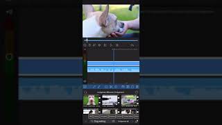 COMO EDITAR VIDEOS AGREGAR BANNERS SUPERS IPHONE LUMA FUSION HYPE TEXT EDICION IPHONE [upl. by Dhaf350]