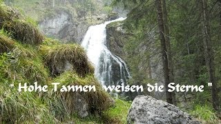 Hohe Tannen weisen die Sterne [upl. by Yttisahc]