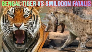 SMILODON FATALIS VS BENGAL TIGER  WHO IS MORE ROBUST [upl. by Burta]