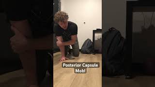 Quadruped Posterior capsule shoulder mobilization jointmobility shoulder [upl. by Issie]