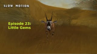 Lets Play  Cabelas Dangerous Hunts 2003 NO RED DOTS  Episode 23  Little Gems [upl. by Kohcztiy]